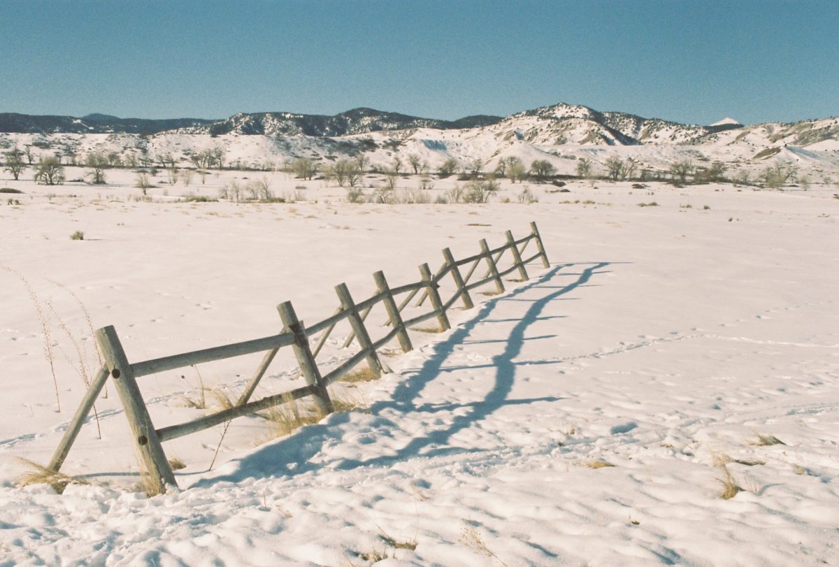 Trail Guide: My 7 Favorite Trail Runs in Boulder